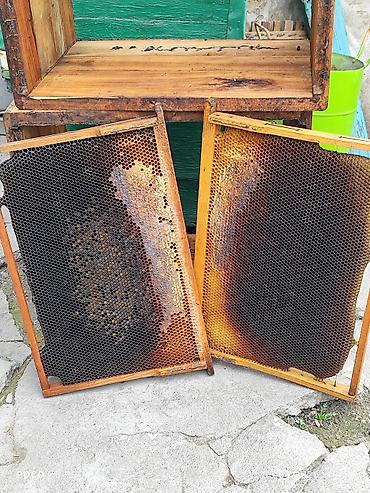 Другие хозтовары: ПРОДАМ Пчелопавилион. Нуклеусы. Лежаки. Темная суш, примерно 400 — 11