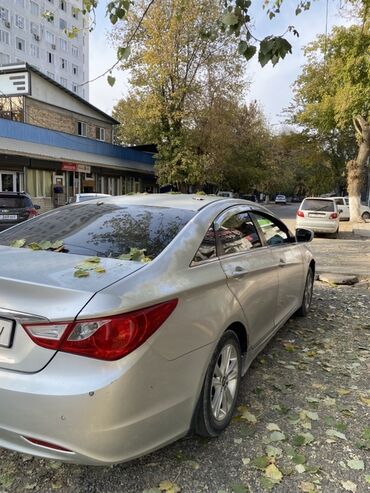 шины на киа к5: Hyundai Sonata: 2012 г., 2 л, Автомат, Газ, Седан
