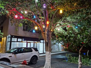 Digər kommersiya daşınmaz əmlakı: Şirniyyat, aptek, Karqo ofis və.s profillər üzrə yararlı. Razinde 1-ci — 3