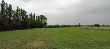 şəkidə torpaq: 75 sot, Kənd təsərrüfatı, Mülkiyyətçi, Kupça (Çıxarış)