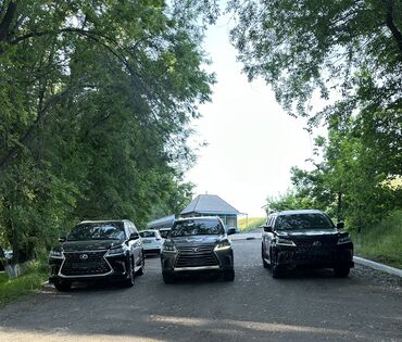 шлифовальная машина для пола аренда: Ижарага берем: Жеңил унаа