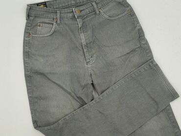 spodnie travis scott: Lee, Jeans for women, size XL (EU 42)