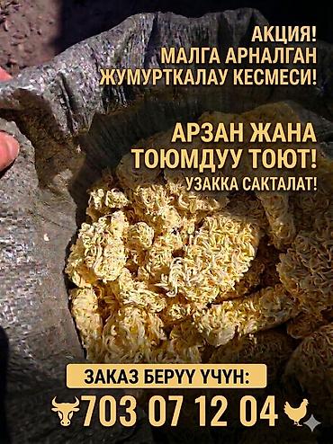 кормовой марковка: Яичная лапша для скота — экономичный и сытный корм. - Назначение — 1