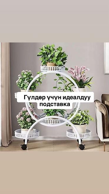 Этажерка-подставка для комнатных растений на колесиках. Описание: - at lalafo.kg Этажерка-подставка для комнатных растений на колесиках. Описание: -