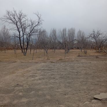 Продажа участков: 25 соток — 30