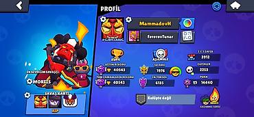 Bilərziklər: Bilərzik — 1