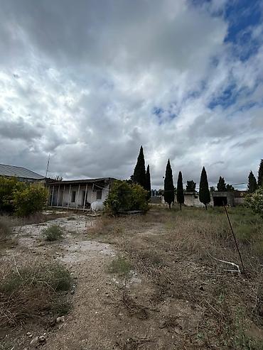 Torpaq sahələrinin satışı: 24 sot, Tikinti, Mülkiyyətçi, Kupça (Çıxarış) — 11