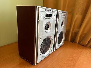 se electronics: Акустическая система Вега 25АС-101 (пара) - Формат: полочная — 2
