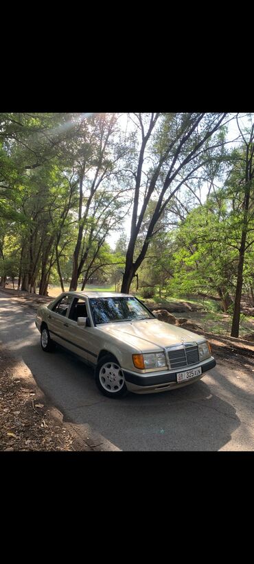 новые покрышки: Mercedes-Benz W124: 1989 г., 2.3 л, Механика, Седан