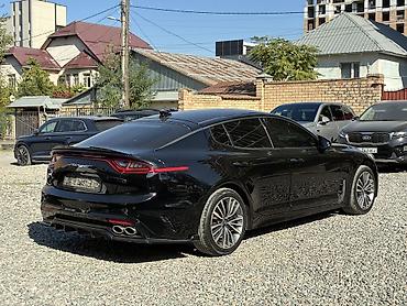 netta l: Kia Stinger: 2018 г., 2.2 л, Автомат, Дизель, Лифтбек — 8