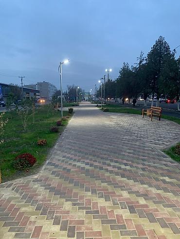 Продажа участков: 8 соток, Для строительства, Красная книга, Тех паспорт, Договор купли-продажи — 5