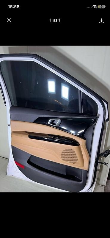 пороги карнивал: Обшивка передней левой двери для Kia Carnival (KA4), поколение 4, год — 1