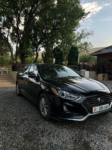 hyundai sonata машины: Hyundai Sonata: 2019 г., 2.4 л, Автомат, Бензин, Седан