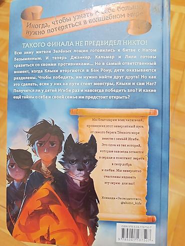 экспедиция: Книги для подростков и юных любителей фэнтези/приключений: 1) Ребекка — 4
