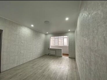 серый попугай говорун: 1 комната, 45 м², 105 серия, 8 этаж, Евроремонт