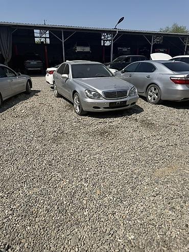 devo lasetti: Mercedes-Benz 220: 1999 г., 5 л, Автомат, Бензин, Седан — 3