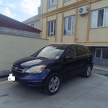 срв 2012: Honda CR-V: 2010 г., 2.4 л, Автомат, Бензин, Кроссовер — 4