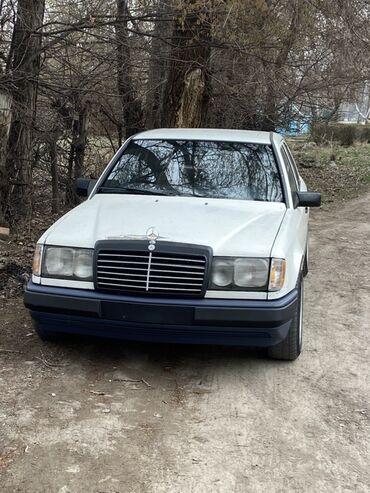 купить запчасти на опель вектра б: Mercedes-Benz W124: 1989 г., 2.9 л, Механика, Дизель, Седан