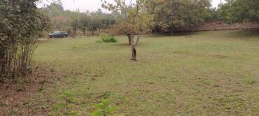 Kirayə torpaq sahələri: Tikinti