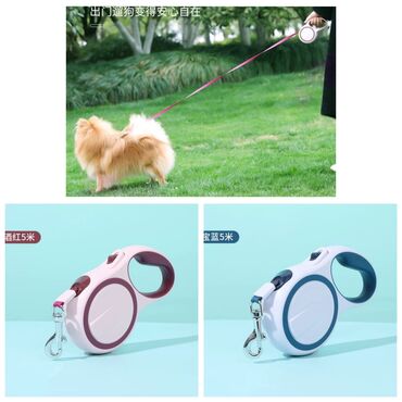 интерактивные игрушки собаки: Продаю рулетки/поводки для кошек и собак 3 метра и 5
