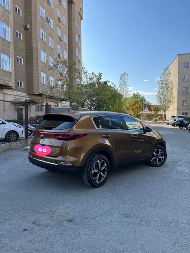 Kia: Kia Sportage: 2019 г., 2.4 л, Автомат, Бензин, Кроссовер