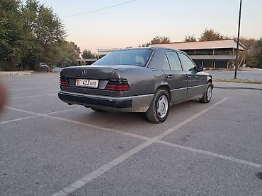 дерево на мерс 124: Mercedes-Benz W124: 1990 г., 2.3 л, Механика, Бензин, Седан — 4