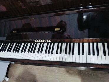 forte piyanino: Piano, Belarus, Akustik