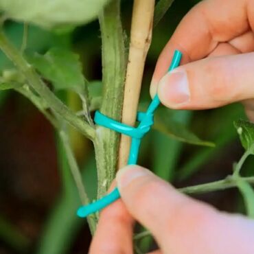 Bağ və bostan üçün digər məhsullar: ✅ Aqrotel, ✅ Kembrik ✅ Rezin İp İstifadə: Ağac Tingləri, Meyvə — 6