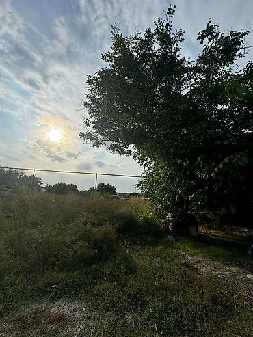 Продажа участков: 17 соток — 6