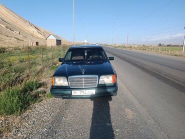 Mercedes-Benz: Mercedes-Benz W124: 1995 г., 2 л, Механика, Бензин, Седан