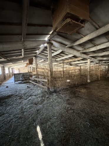 Сельхоз предприятия: Продаю Кошара, 130 соток, Действующий, Частично с оборудованием, Электричество, Канализация, Отопление — 13