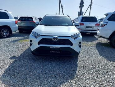 Toyota: Toyota RAV4: 2021 г., 2.5 л, Автомат, Бензин, Жол тандабас