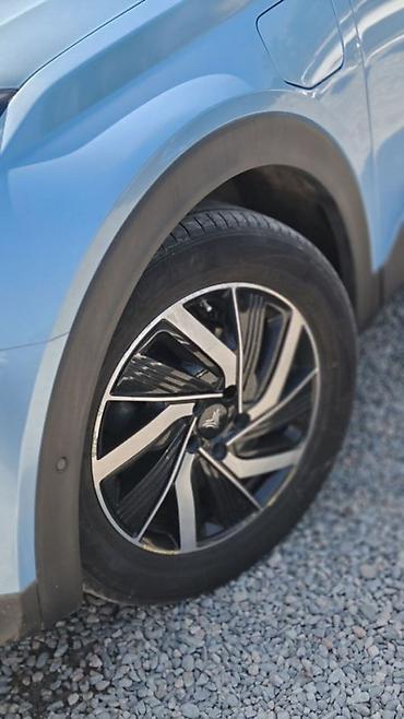 GAC: Сдам в аренду Neta u По договору От 3-х месяцев От 24-х лет С — 6