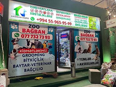 Reklam, çap: Reklam və brendinq xidmətləri - Daxili və xarici vitrin/brend divar — 10