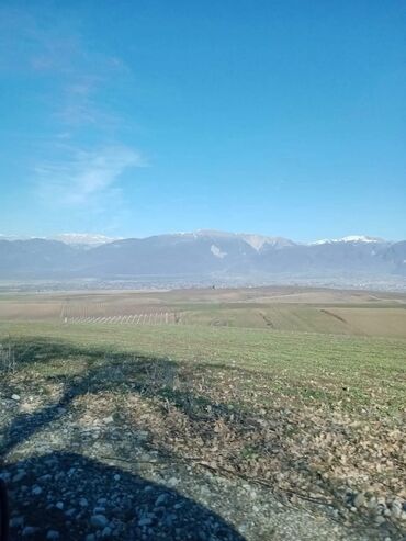 Torpaq sahələrinin satışı: 20 sot, Tikinti, Mülkiyyətçi, Kupça (Çıxarış) — 6