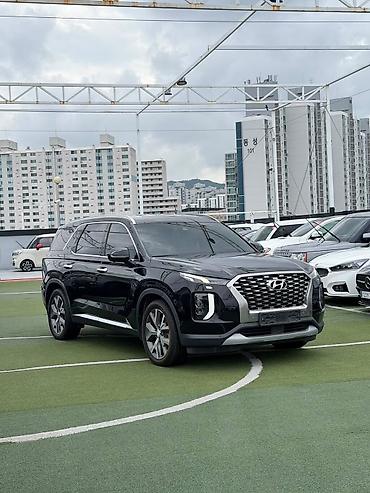 palisade: Hyundai Palisade: 2020 г., Кроссовер — 1