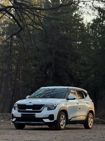 Kia: Kia Seltos: 2020 г., 1.6 л, Автомат, Бензин, Кроссовер — 13