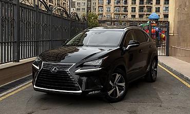 infinity qx56: Lexus NX: 2019 г., Гибрид, Кроссовер — 4