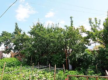 продам дом киргизия 1: Дом находится в селе Боконбаев, дом очень уютный хотя маленький. В — 4