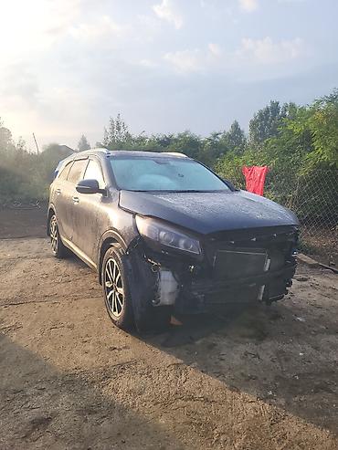 Транспорт: Kia Sorento: 2.4 л | 2016 г. Внедорожник — 1