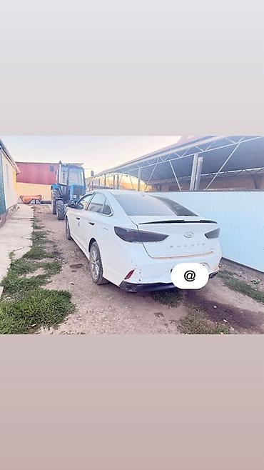 byd chin 2024: Hyundai Sonata: 2018 г., 2 л, Автомат, Бензин, Седан — 4