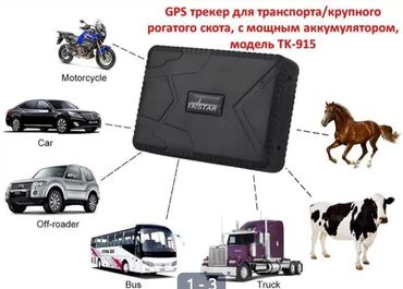 gps навигатор: Gps трекер на все виды авто в наличии