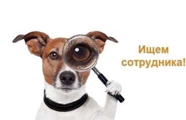 ищу работу продавец консультант: Продавец-консультант. Аламединский рынок / базар