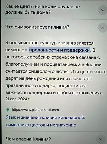 Другие комнатные растения: Растущие в тени кливиясансевиерия,замиокулькас . Принимаю заказы — 27
