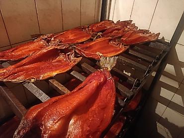 копченная рыба: Горячего копчения красная рыба(форель) (целиком, распластованная — 2