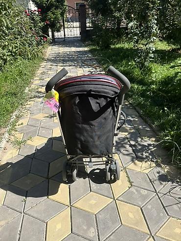 18 одежда: Коляска, Chicco, цвет - Черный, Б/у, Платная доставка, Самовывоз — 3