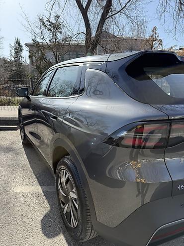 Dongfeng: Dongfeng : 2026 г., 0.1 л, Автомат, Электромобиль, Кроссовер — 5