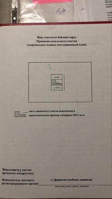 Продажа коттеджей и домов: Продаётся дом в Киргизии-1 с готовым бизнесом Уникальное — 8