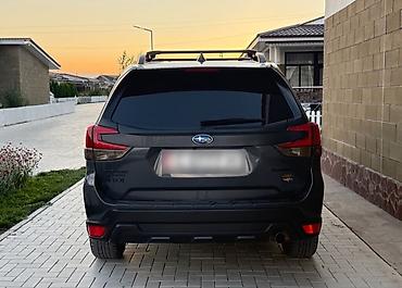 wilderness: Subaru Forester: 2022 г., Бензин — 3