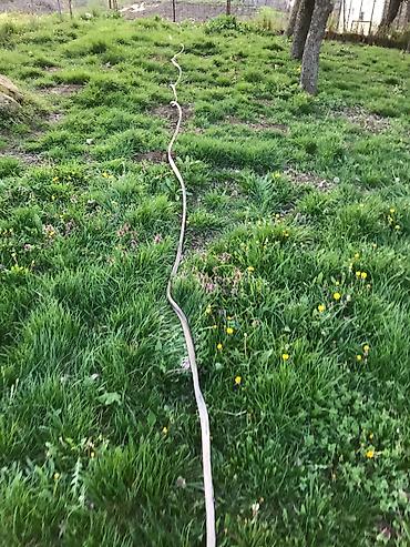 Ostala elektronika: Dalekovodni visokonaponski petozilni kabl sa sajlom debeo tezak tacno — 6